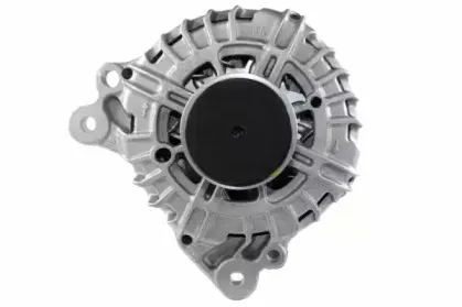 friesen-9090585