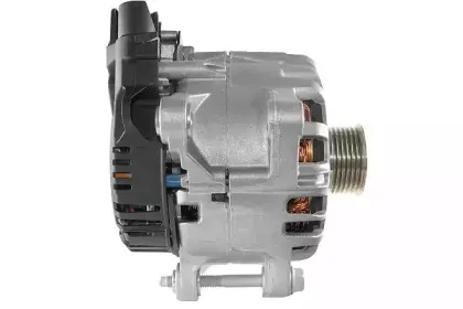 friesen-9090744