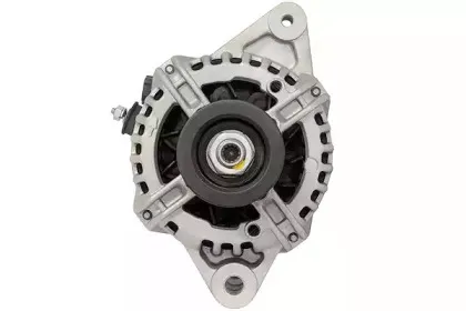 friesen-9090849