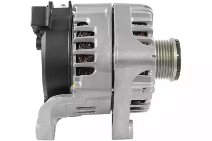 friesen-9090865