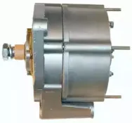friesen-9931300