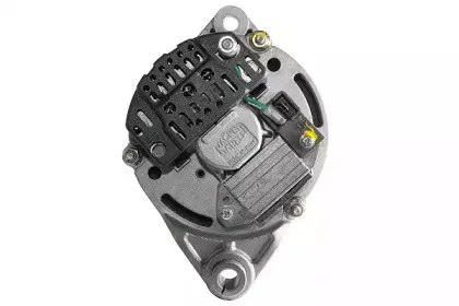 friesen-9932191