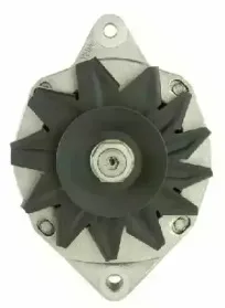 friesen-9934801