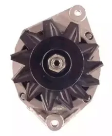 friesen-9938351