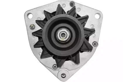 friesen-9939790