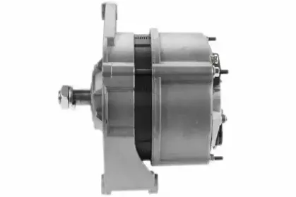 friesen-9939810