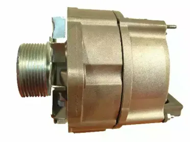 friesen-9940260