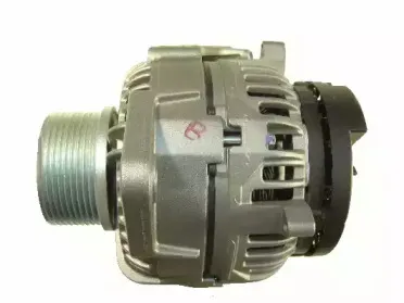 friesen-9945490