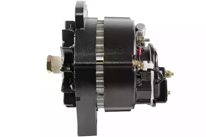 friesen-9990698