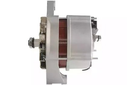 friesen-9990846