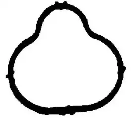 X86625-01 GLASER Прокладка, впускной коллектор