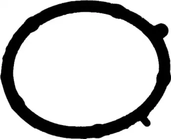 X85371-01 GLASER Прокладка, впускной коллектор