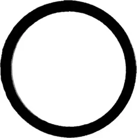 X87172-01 GLASER Прокладка, впускной коллектор