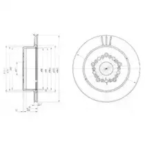 delphi-bg3617