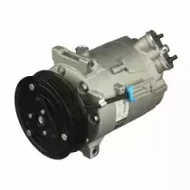 delphi-cs20302