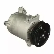 delphi-cs20302