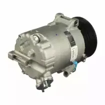 delphi-cs20302