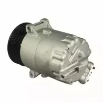 delphi-cs20302