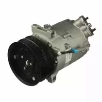 delphi-cs20303