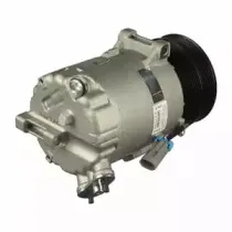 delphi-cs20303