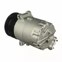 delphi-cs20303