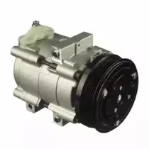delphi-cs20304