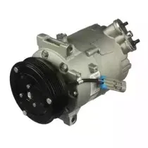 delphi-cs20305