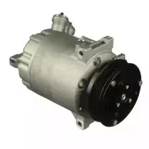 delphi-cs20305