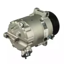 delphi-cs20305
