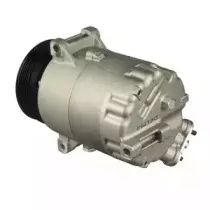 delphi-cs20305