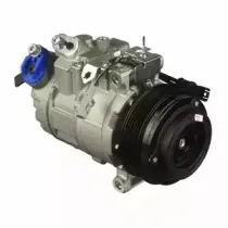delphi-cs20317