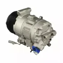 delphi-cs20317