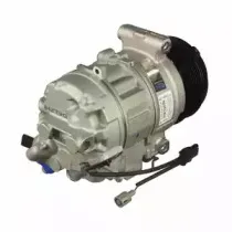 delphi-cs20317