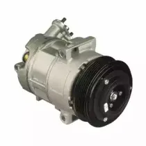 delphi-cs20319