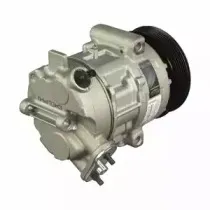 delphi-cs20319