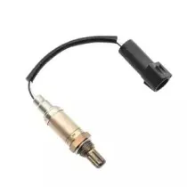 delphi-es10134