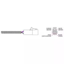 delphi-es20318