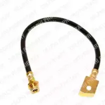 delphi-lh0116