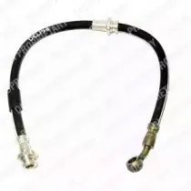 delphi-lh0383