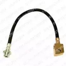 delphi-lh6099