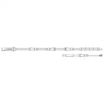 LZ0238 DELPHI