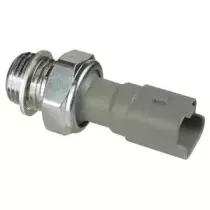SW90022 DELPHI