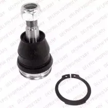 TC1006 DELPHI