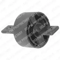 TD263W DELPHI