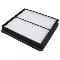 delphi-tsp0325196