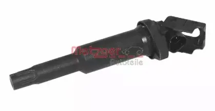 metzger-0880014
