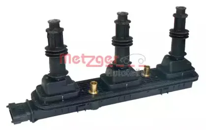 metzger-0880040