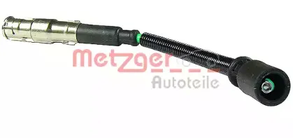 metzger-0883003