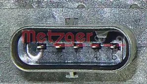 metzger-0890243