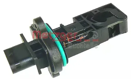 metzger-0890260